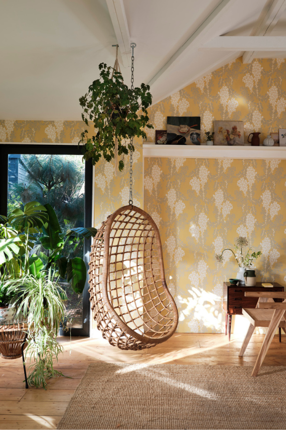 Wisteria in a room setting