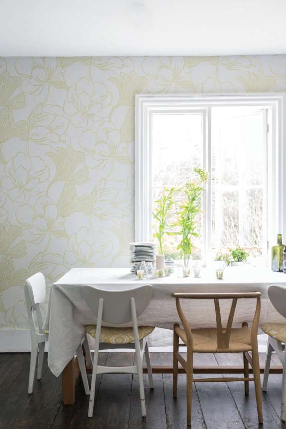 Helleborus in a room setting