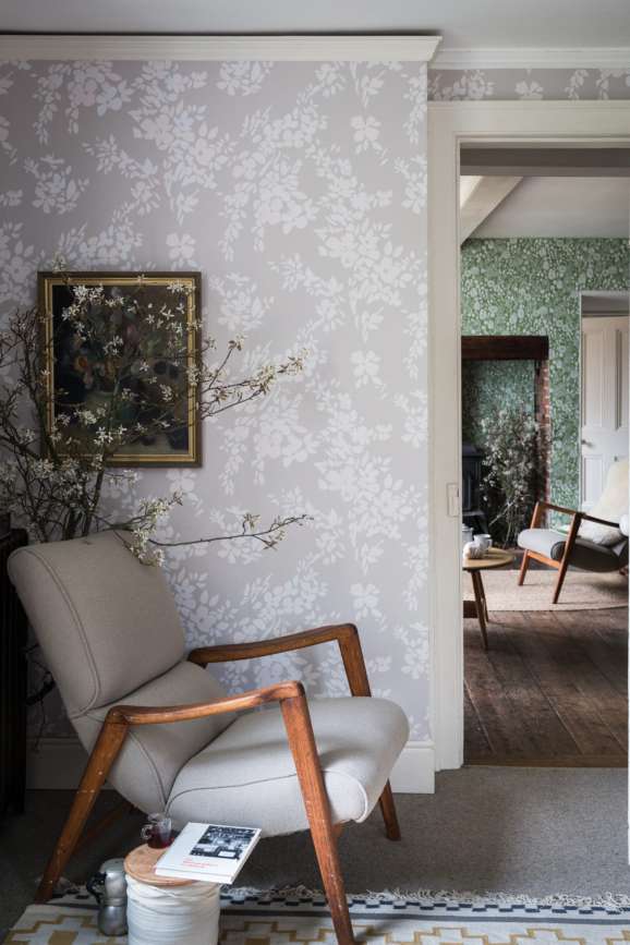 Hegemone in a room setting