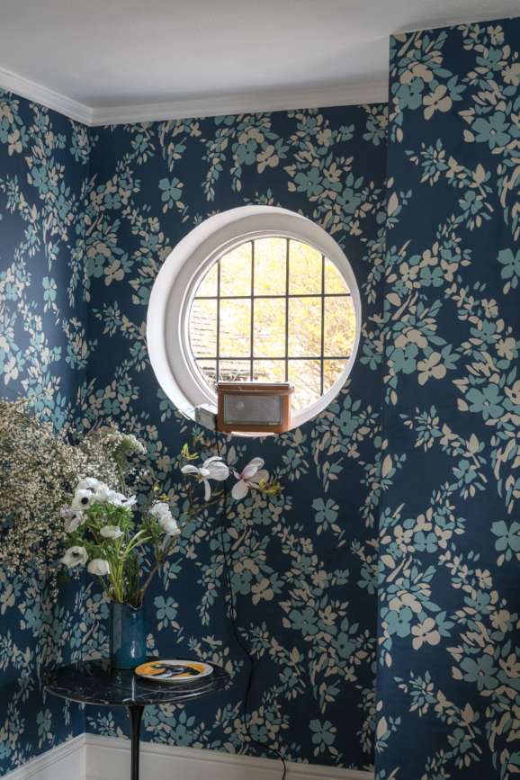 Hegemone in a room setting