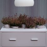 Calluna room setting