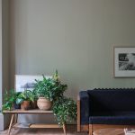 Ash Grey room setting