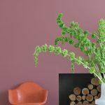 Crimson Red room setting