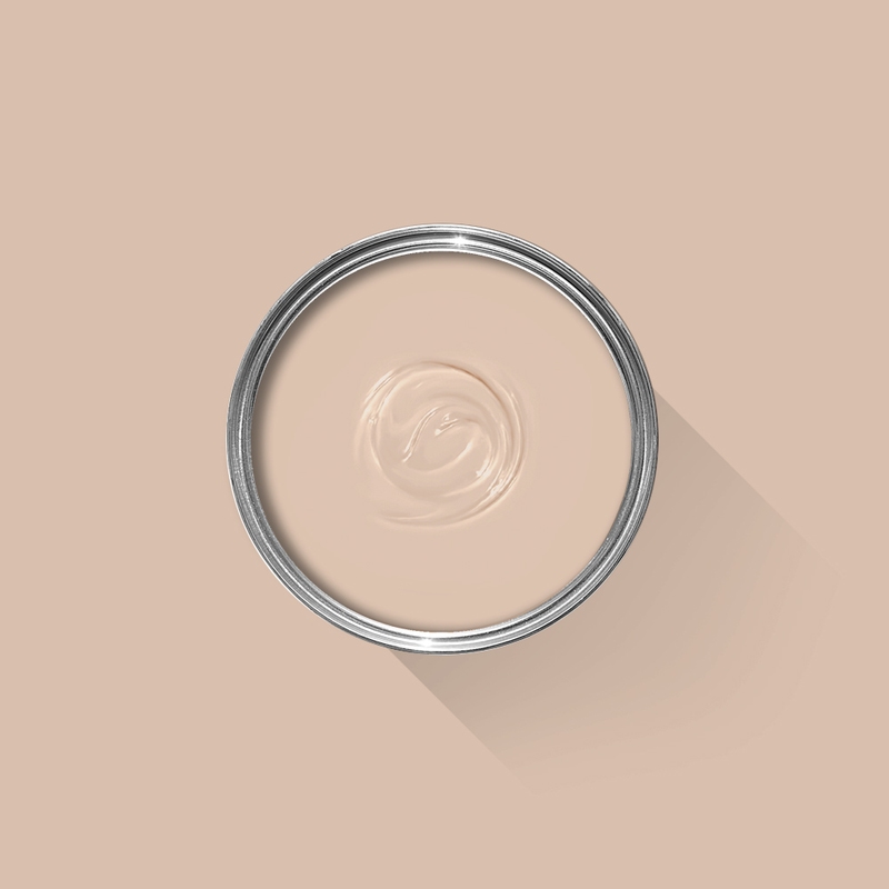 Setting Plaster