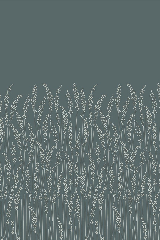 Feather Grass
