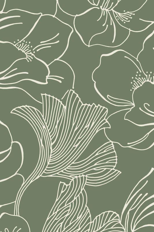 Helleborus